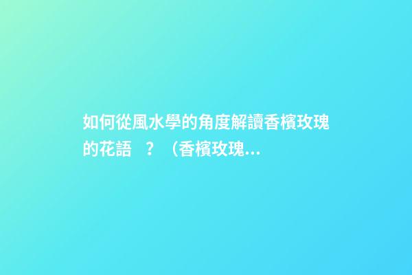 如何從風水學的角度解讀香檳玫瑰的花語？（香檳玫瑰的花語和象征）